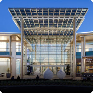 Arnold Dallas McPherson ChadstoneOffice